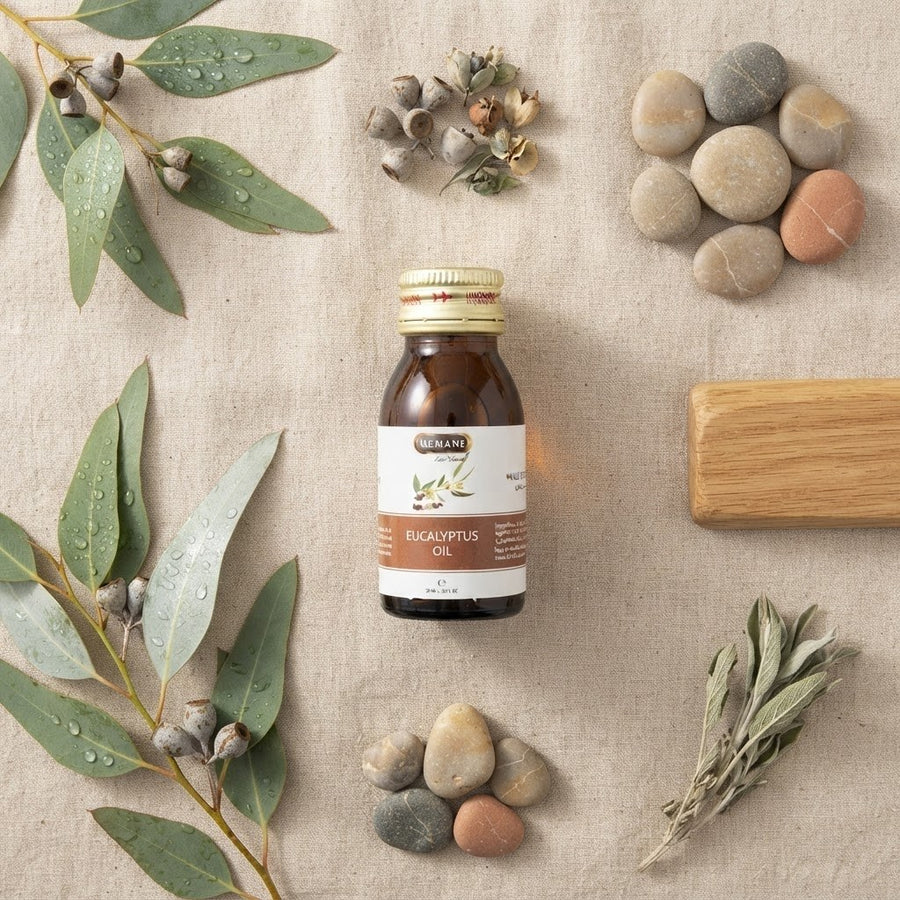 Huile d'eucalyptus 30mL Hemani – produit naturel présenté par Natureluxy