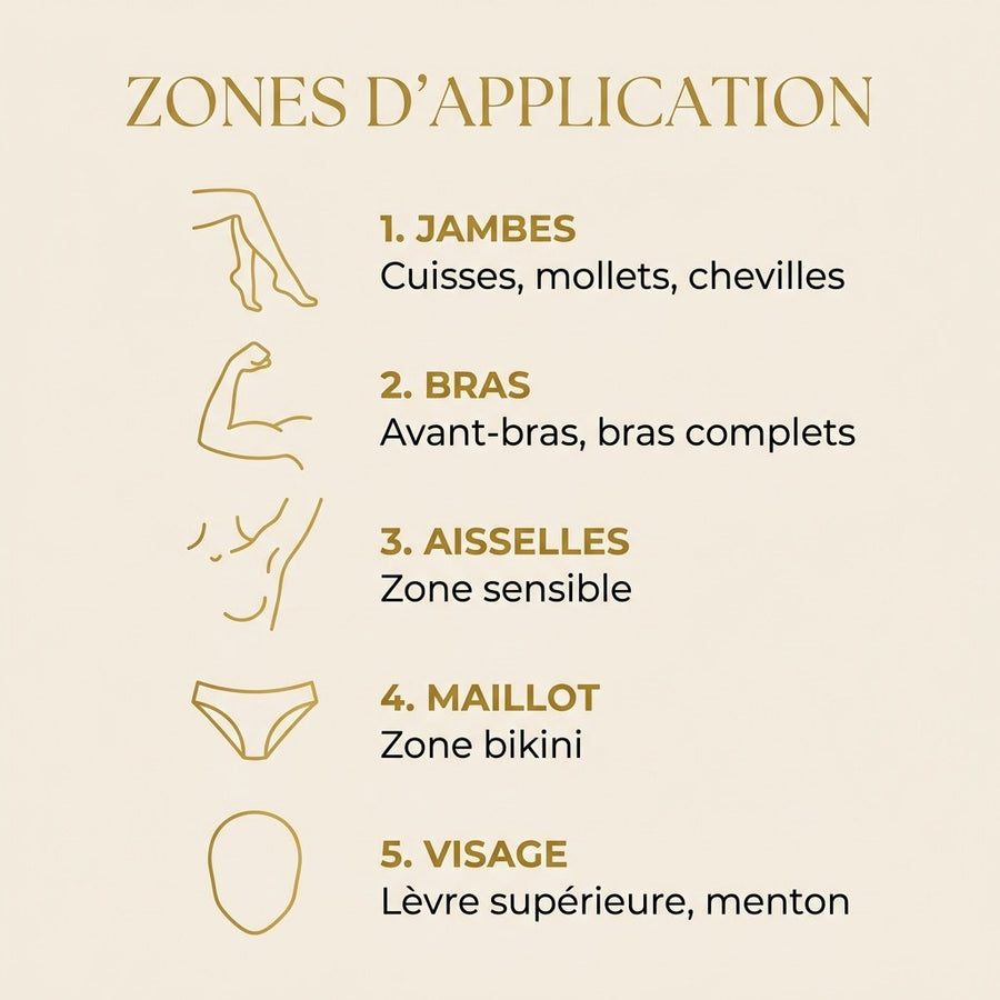 Zones d'application de l'huile de fourmi : jambes, bras, aisselles, maillot et visage