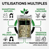 Feuilles de Sidr Naturelle 100g - Feuilles de Jujubier Séchées