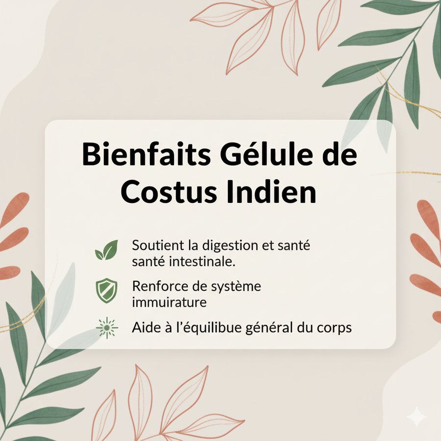 120 gélules Costus Indien  – env. 300 mg par gélule – complément alimentaire