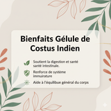 120 Kapseln 100 % pflanzlicher indischer Costus