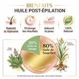 Infographie des bienfaits de l'huile de fourmi post-épilation : composition 80 % souchet et 20 % sauge