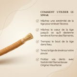 Lot von 20 Siwak Nature Miswak Arak Sticks (Hohe Qualität)