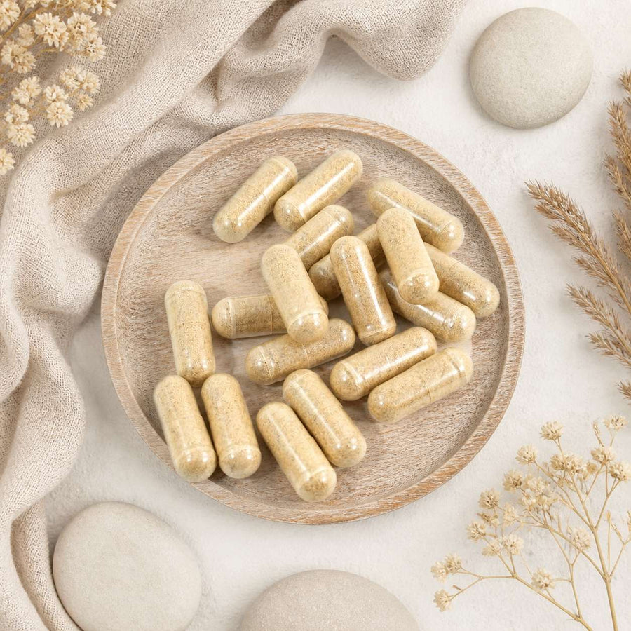 120 gélules de Fenouil – composition flat lay avec éléments naturels, vue du dessus