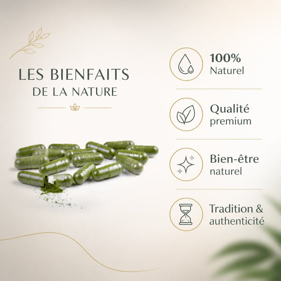 2X120 gélules de Sidr – infographie des bienfaits et des ingrédients clés