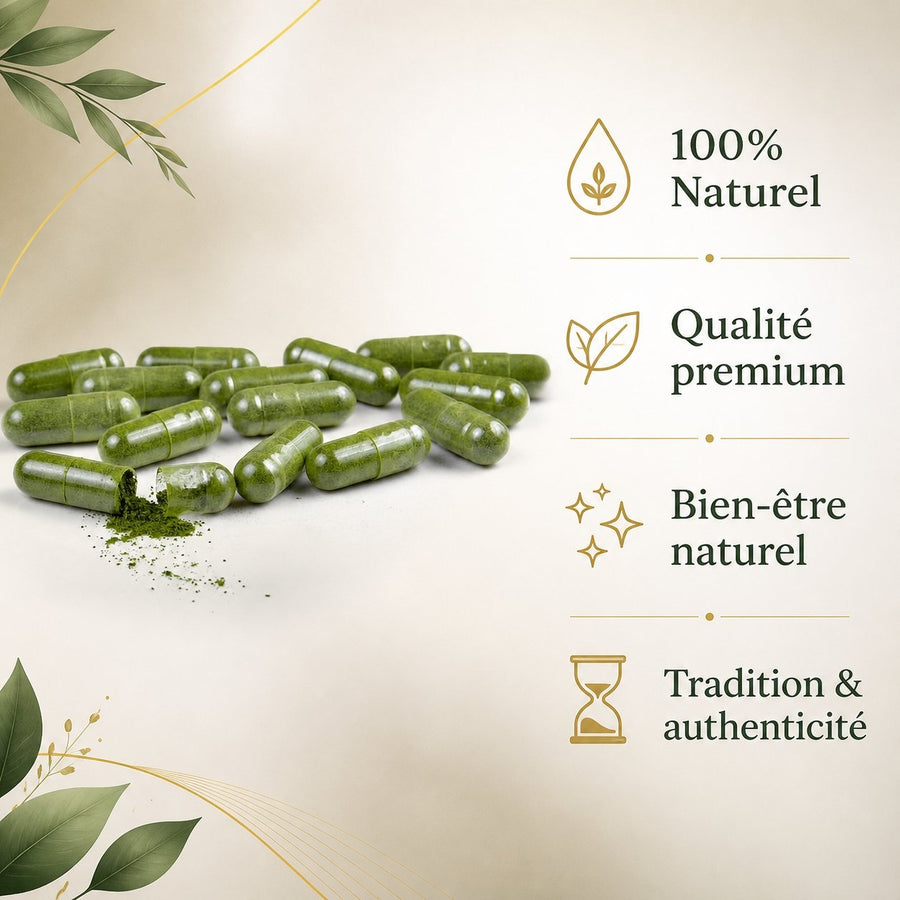 120 gélules de Sidr - Gélules végétales – infographie des bienfaits et des ingrédients clés
