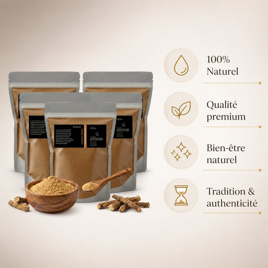20 kg Costus Indien en Poudre 100% Naturel (Origine Inde) — Emballage 1 kg x20 – infographie des bienfaits et des ingrédients clés