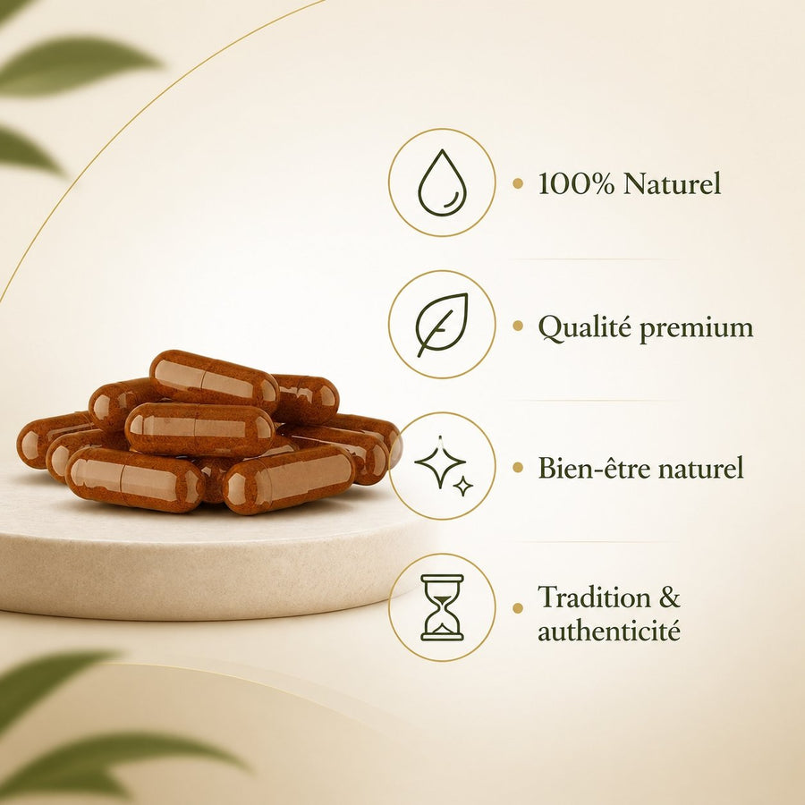2X120 gélules de Costus Indien – infographie des bienfaits et des ingrédients clés