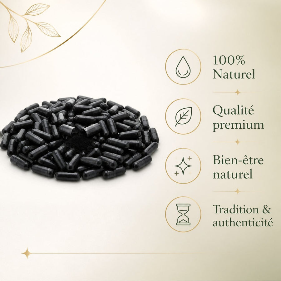 3000 Gélules de Nigelle 100% Végétale - 300 mg par gélule - Origine Maroc – infographie des bienfaits et des ingrédients clés