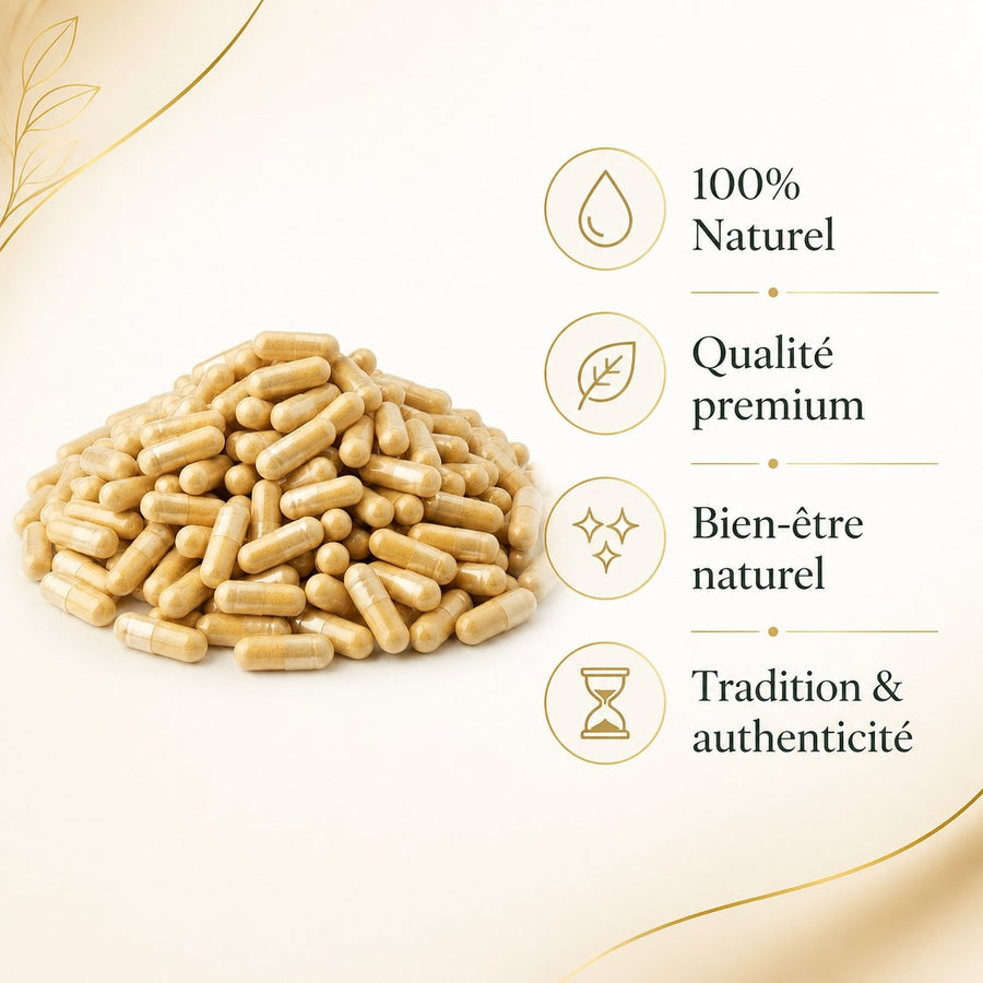 3000 gélules de Pollen de Palmier - Natureluxy – infographie des bienfaits et des ingrédients clés