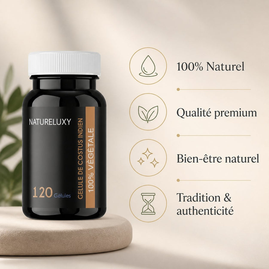 Lot de 3 x 120 Gélules de Costus - 360 Gélules - Natureluxy – infographie des bienfaits et des ingrédients clés