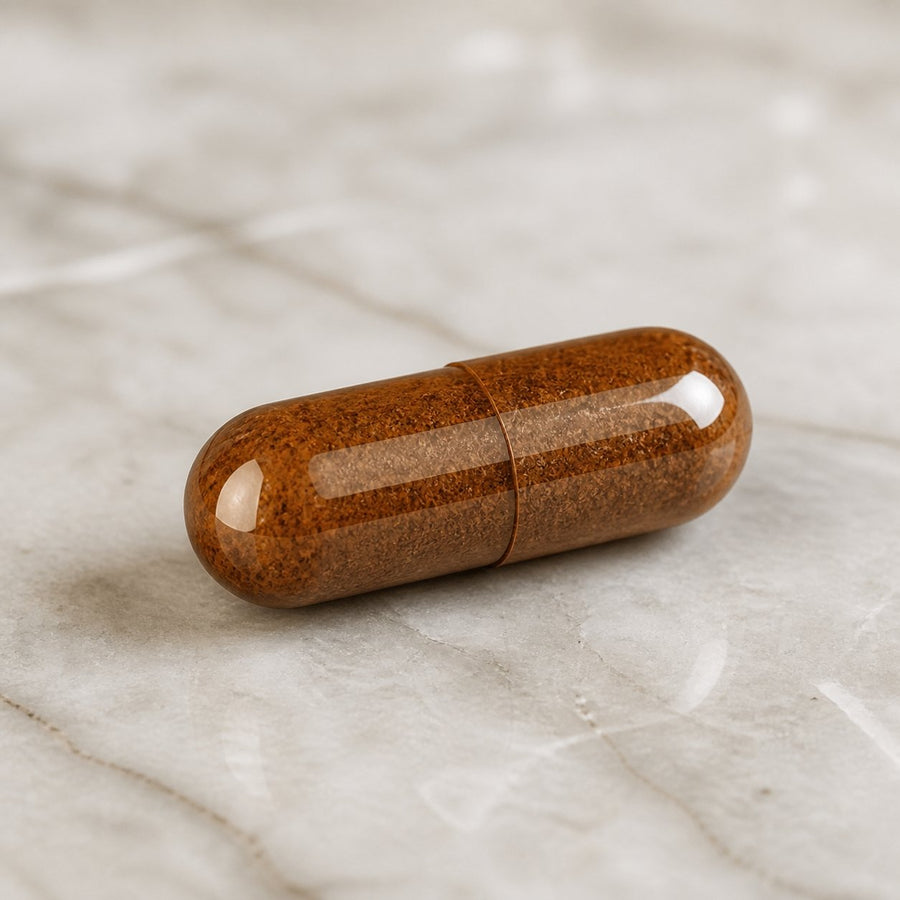 3x120 Gélules de Costus Indien - 360 Gélules - 300 mg – gros plan sur les détails et la finition du packaging