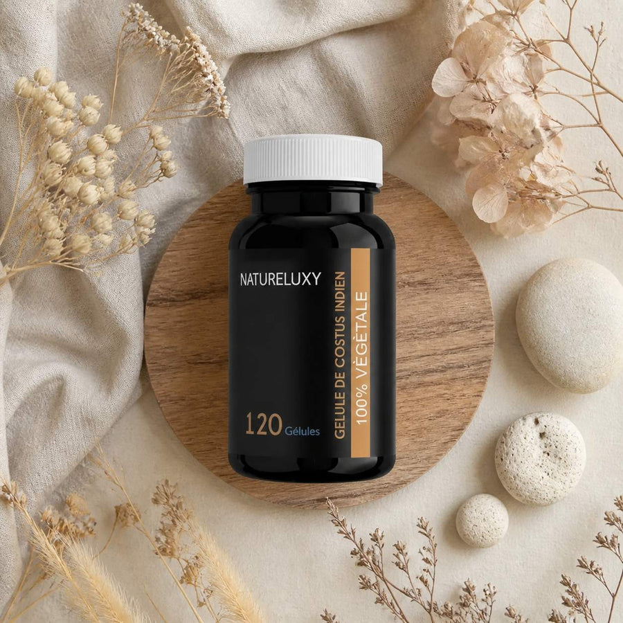 4 x 120 Gélules de Costus Indien Naturel - 480 Gélules - Complément Alimentaire – composition flat lay avec éléments naturels, vue du dessus
