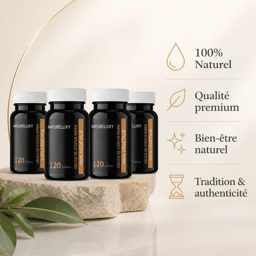 4 x 120 Gélules de Costus Indien Naturel - 480 Gélules - Complément Alimentaire – infographie des bienfaits et des ingrédients clés