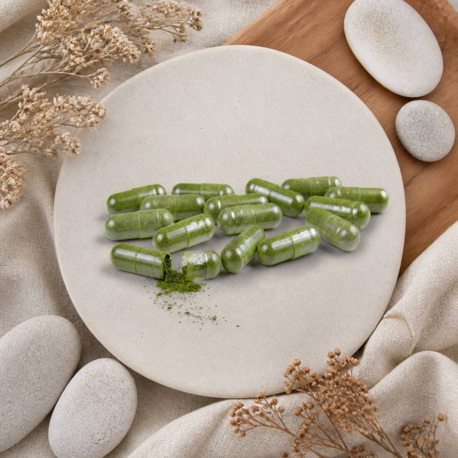 Lot de 5 x 120 Gélules de Sidr - 600 Gélules – composition flat lay avec éléments naturels, vue du dessus