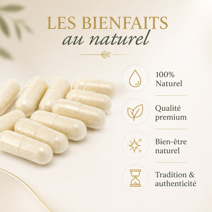 Ail 120 Gélules 300 mg - Gélules Végétales – infographie des bienfaits et des ingrédients clés
