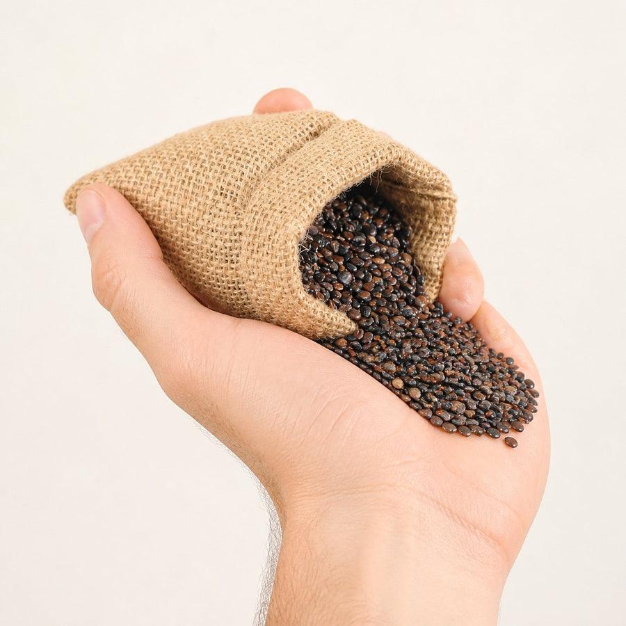 Graines de Nigelle d'Arabie - 60 g – taille et contenance réelles du produit en main