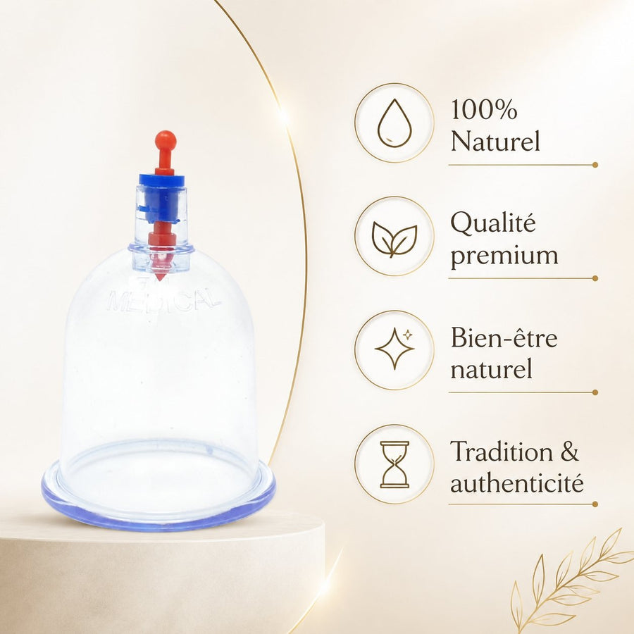 Lot de 100 Ventouses 7cm - Thérapie Set pour Secs et Humide – infographie des bienfaits et des ingrédients clés