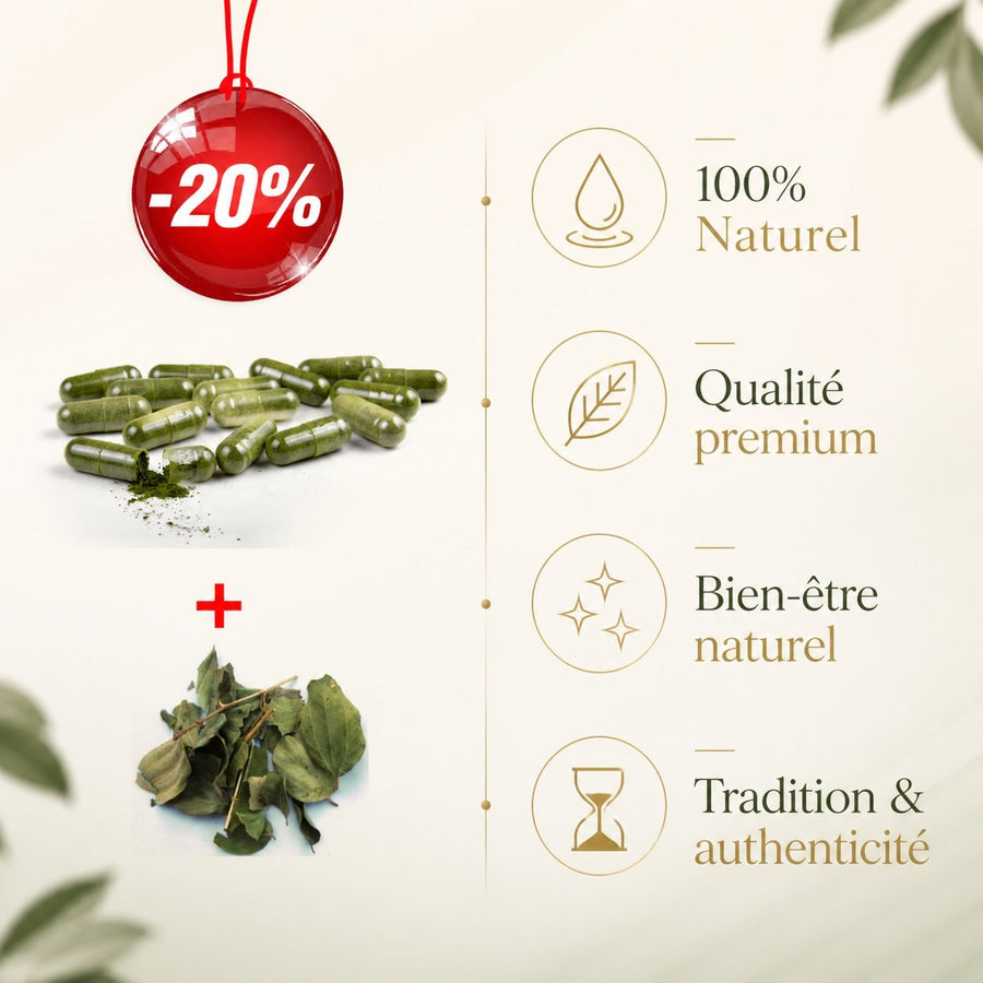 Pack 120 gélules de Sidr + Feuille de Sidr 100g (Feuilles de Jujubier) – infographie des bienfaits et des ingrédients clés