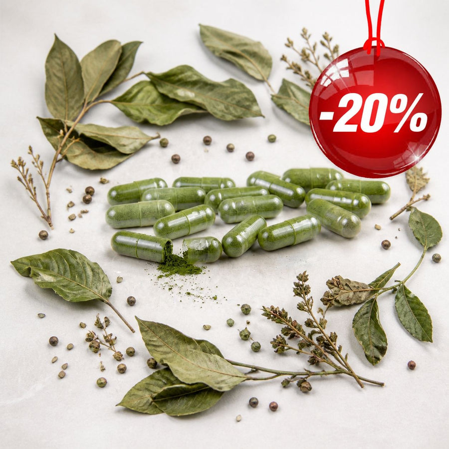 Pack 120 gélules de Sidr + Feuille de Sidr 100g (Feuilles de Jujubier) -20% – composition avec ingrédients naturels