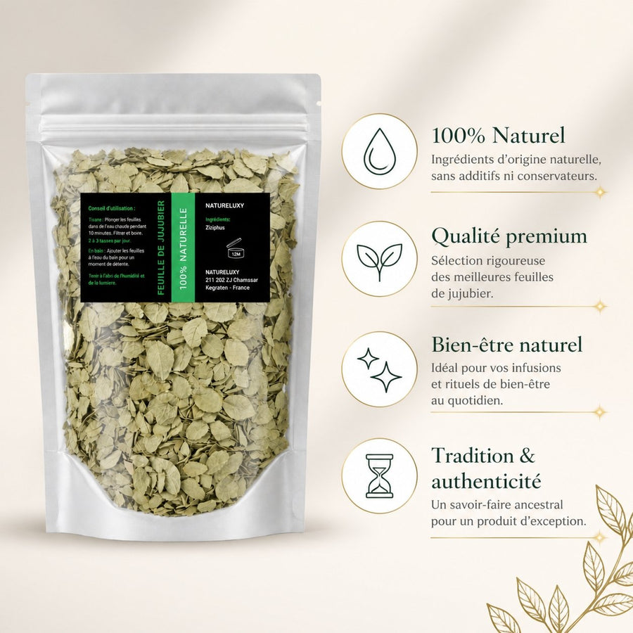 Pack Feuille de Sidr 100g + Poudre de Sidr 80g (Feuilles de Jujubier) – infographie des bienfaits et des ingrédients clés
