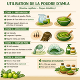 Poudre d'Amla 100% Pure et Naturelle (100g)