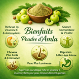 Poudre d'Amla 100% Pure et Naturelle (100g)