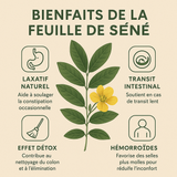 Feuilles de séné - 1kg - 100% Naturel