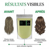 Sidr en Poudre NATURELUXY — 1 kg — 100% Naturel — Origine Maroc