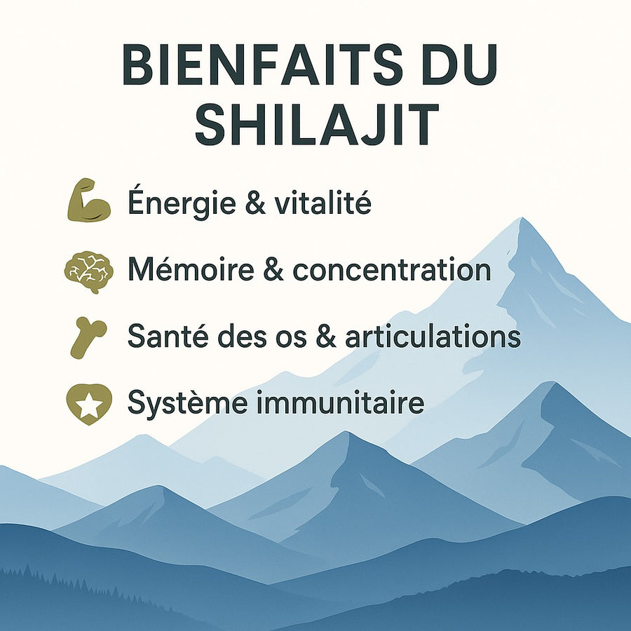 Shilajit pur naturel 30 g – résine de l’Himalaya