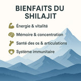 Shilajit Pur Naturel – Résine de l’Himalaya 30g | Natureluxy