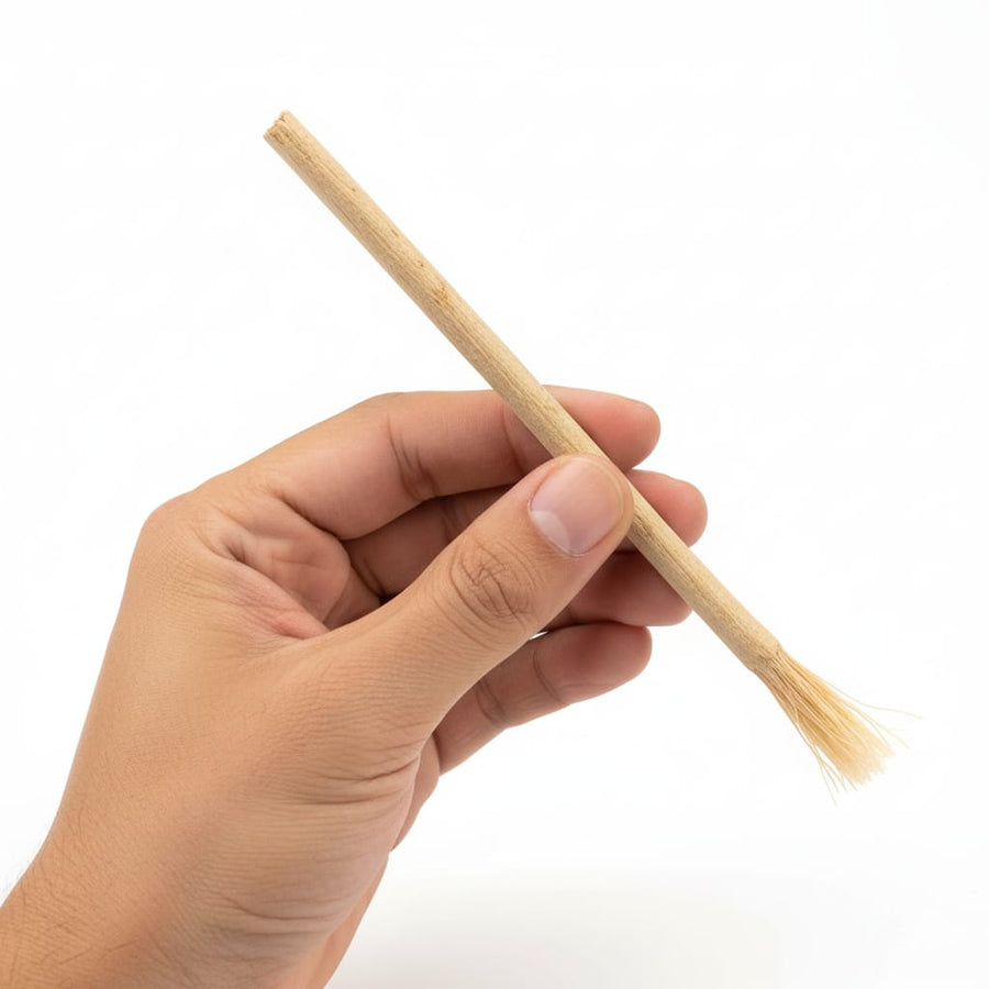 Siwak naturel miswak gros plan fibre – nettoyage dentaire traditionnel