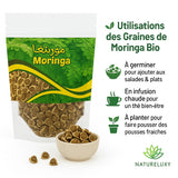 Graine de Moringa  40g Superaliment 100% Naturel - A consommer ou à planter