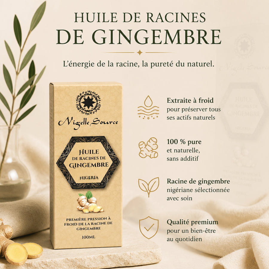 Huile de Racines de Gingembre du Nigéria 100 mL — infographie des bienfaits en français