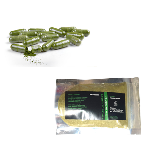 Packung mit 120 Sidr-Kapseln + Sidr-Pulver 80 g (Jujubeblätter) -20 %